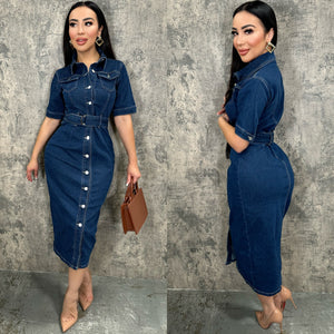 Itathi Denim Dress